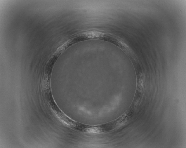 X0000078870411200611201345