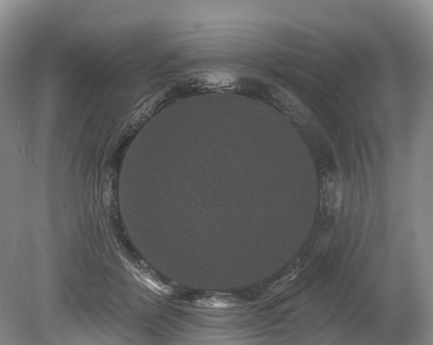 X0000078870412200611201345