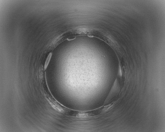 X0000078870413200611201345