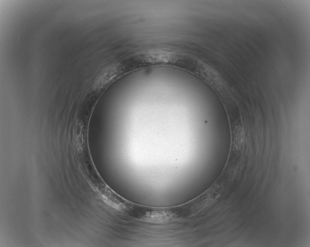 X0000078870414200611201345