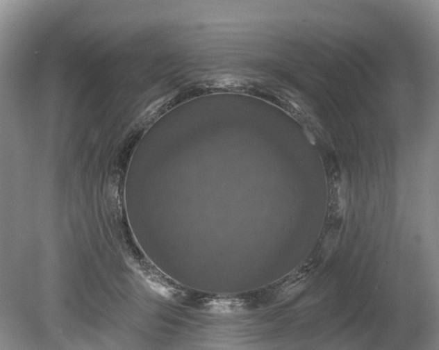 X0000078870415200611201345