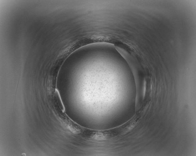X0000078870416200611201345