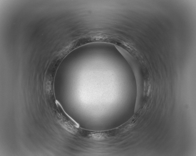 X0000078870417200611201345