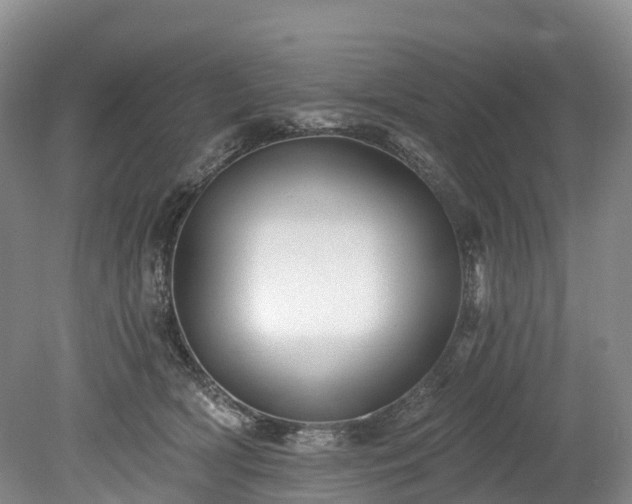 X0000078870418200611201345