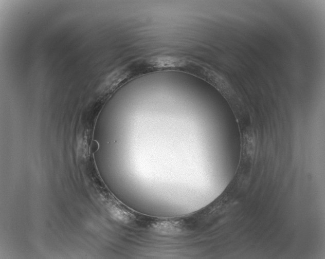 X0000078870422200611201344