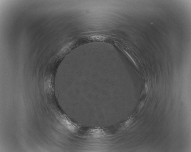 X0000078870424200611201344