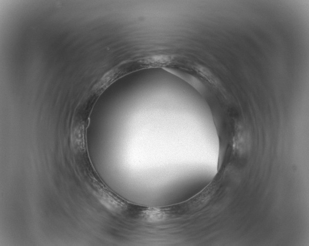 X0000078870425200611201344