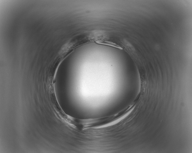 X0000078870429200611201344
