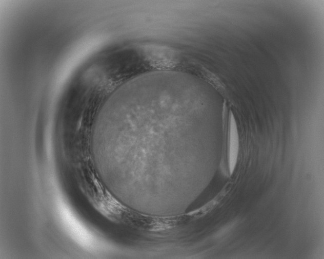 X0000078870431200611201344