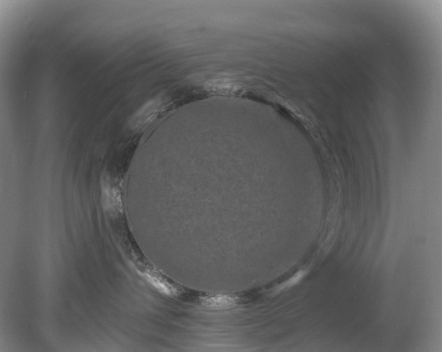 X0000078870432200611201344