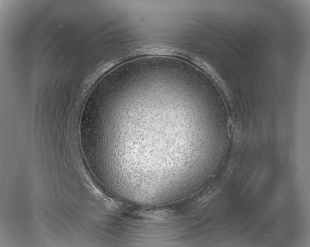 X0000078870433200611201343