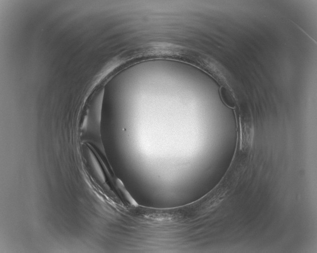 X0000078870435200611201343