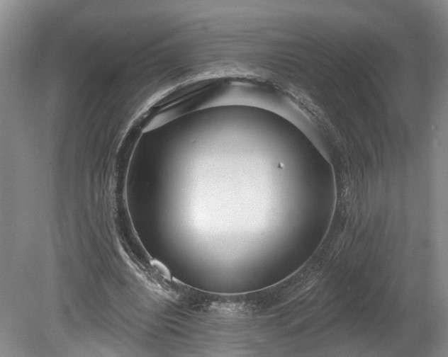 X0000078870440200611201344