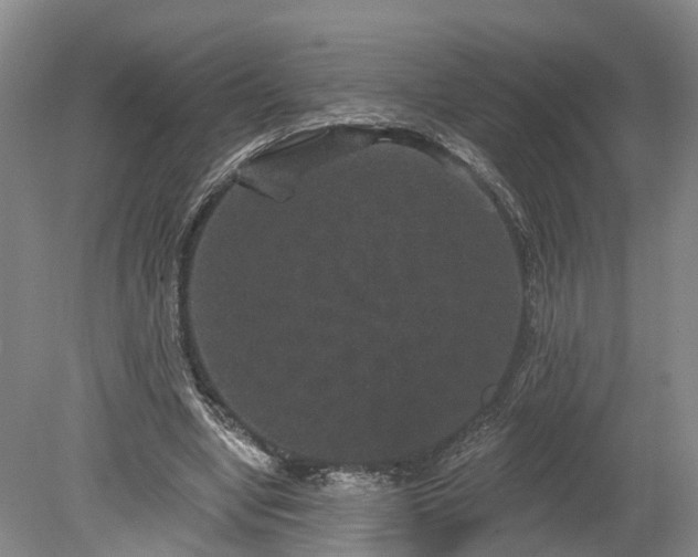 X0000078870442200611201344
