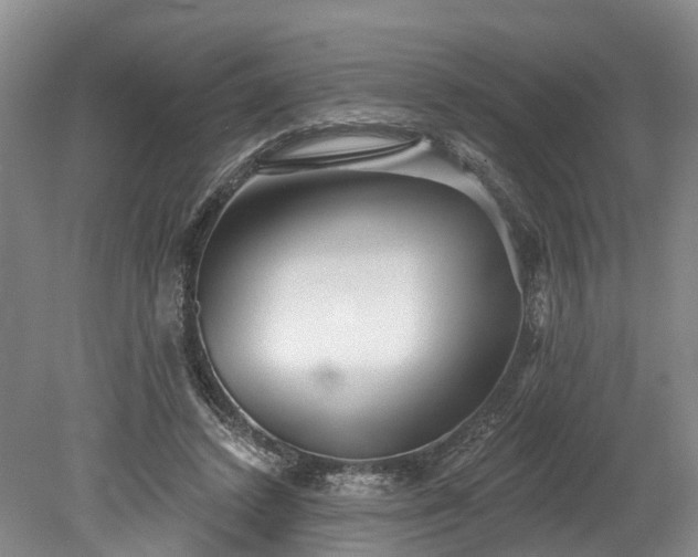 X0000078870448200611201344