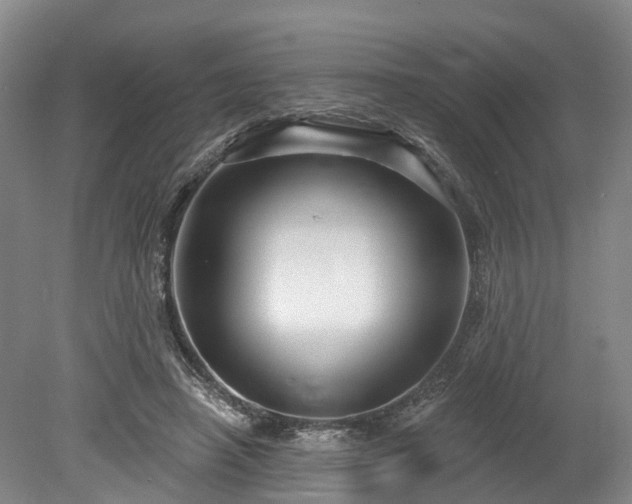 X0000078870450200611201344
