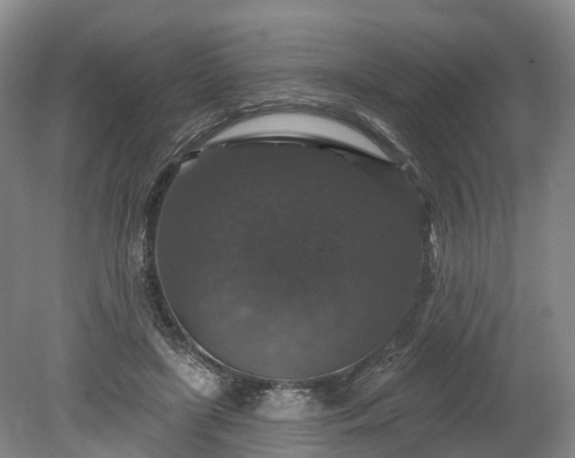 X0000078870451200611201344