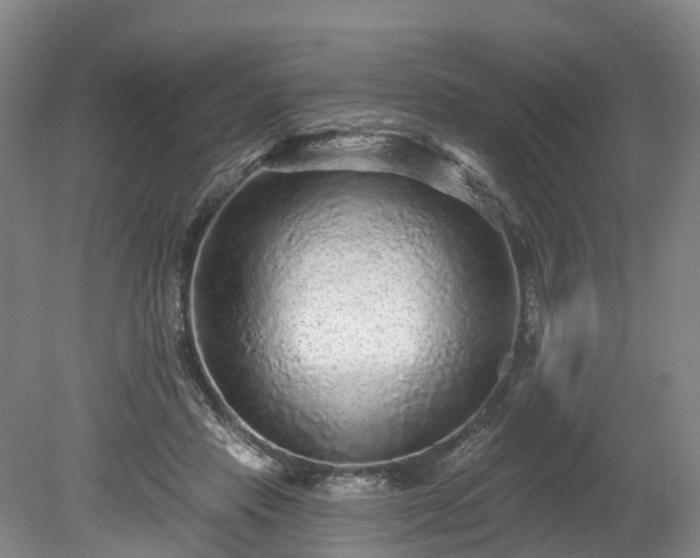 X0000078870453200611201344