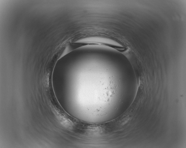 X0000078870454200611201344