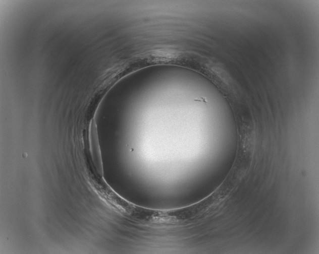 X0000078870455200611201344