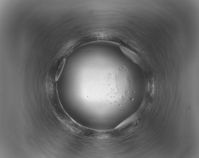 X0000078870456200611201344