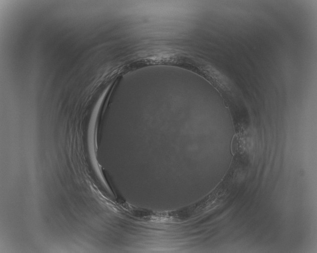 X0000078870458200611201344