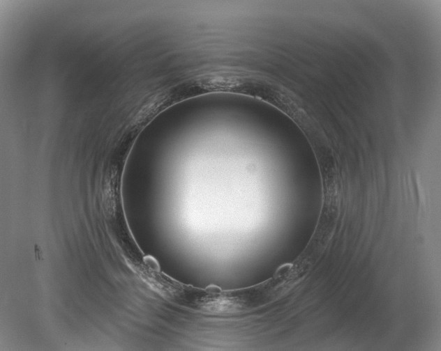 X0000078870460200611201344