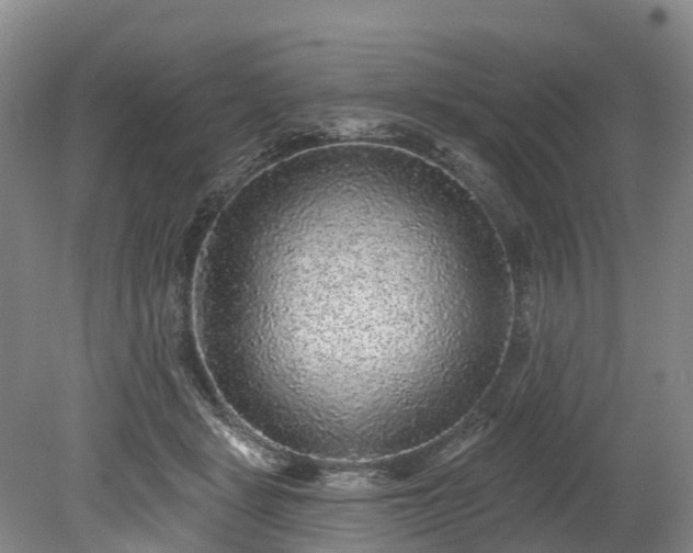 X0000078870461200611201344