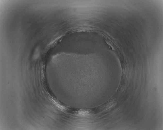 X0000078870462200611201344