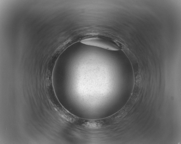 X0000078870464200611201344