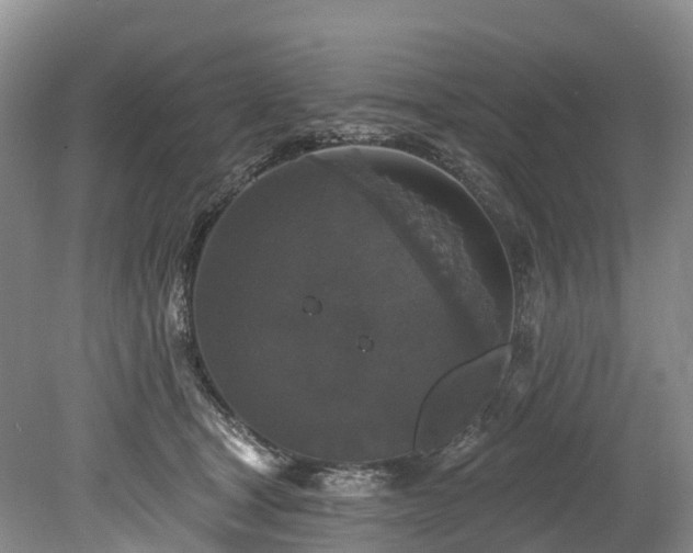X0000078870465200611201344