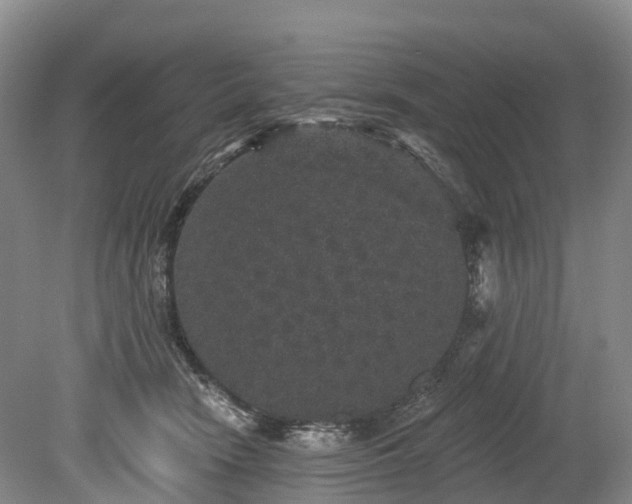 X0000078870466200611201344