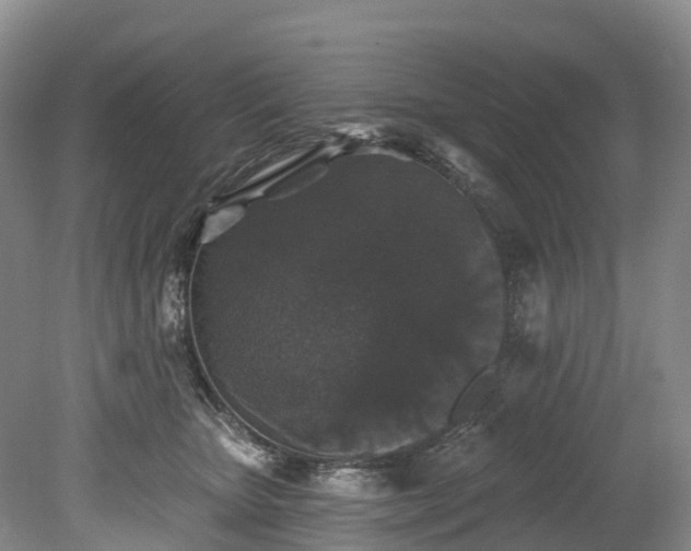 X0000078870467200611201344