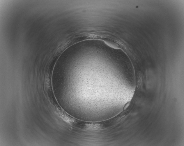X0000078870469200611201344
