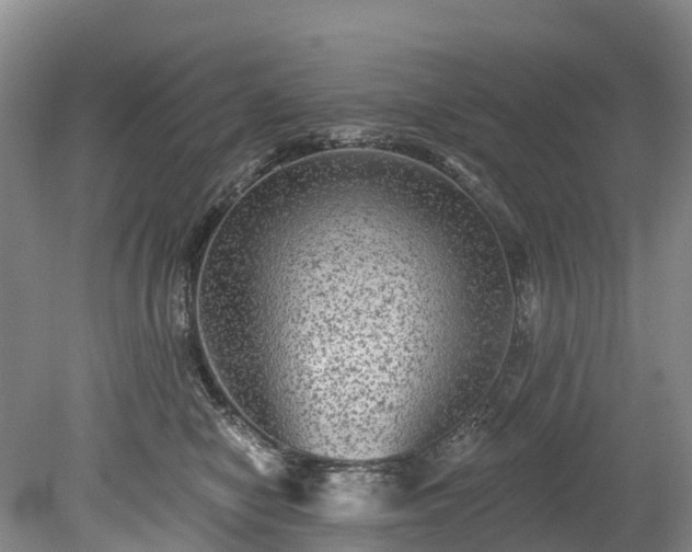 X0000078870470200611201344