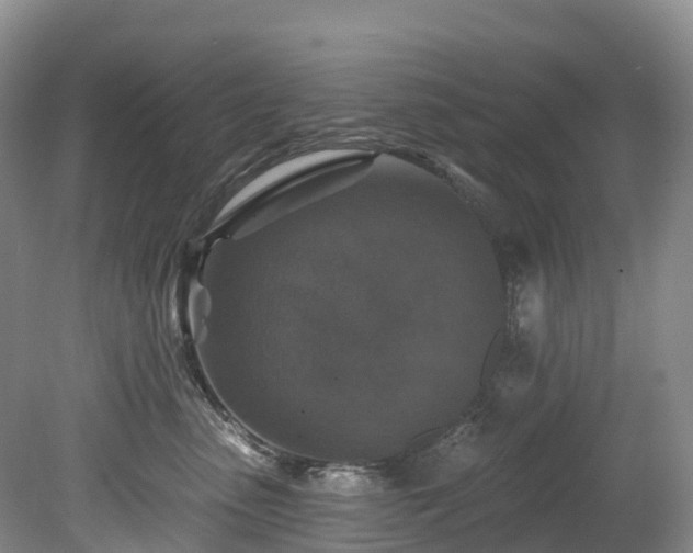 X0000078870475200611201344
