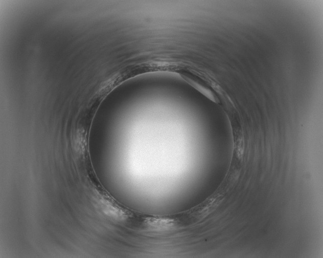 X0000078870476200611201344