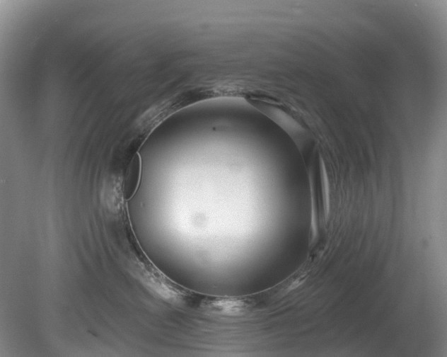 X0000078870478200611201344