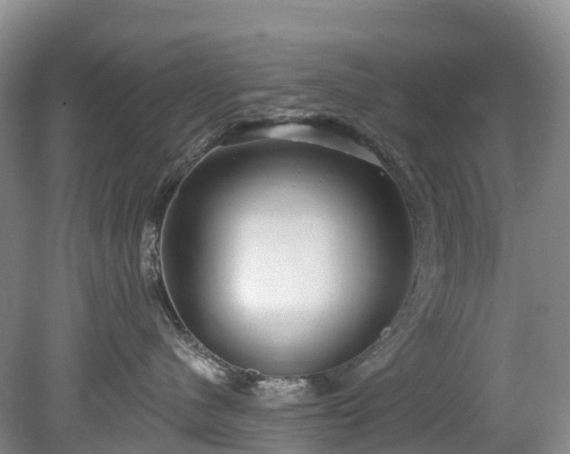 X0000078870480200611201344