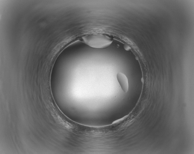 X0000078870481200611201343