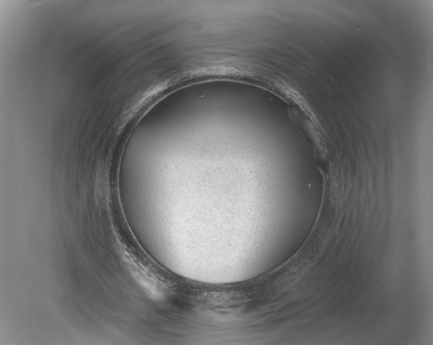 X0000078870482200611201343