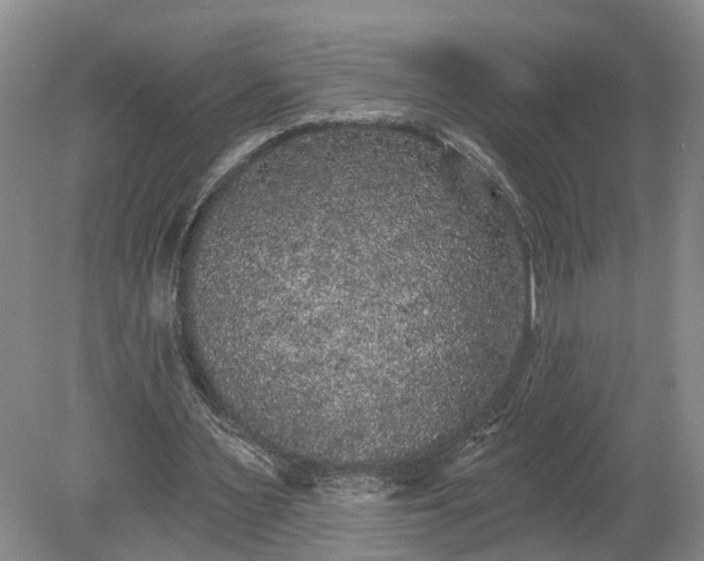 X0000078870483200611201343