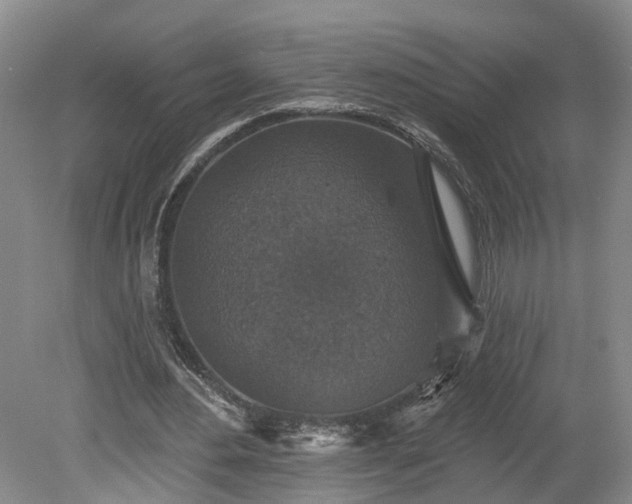 X0000078870484200611201343