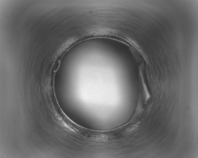 X0000078870485200611201343