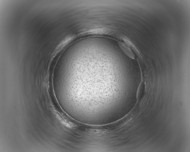 X0000078870486200611201343