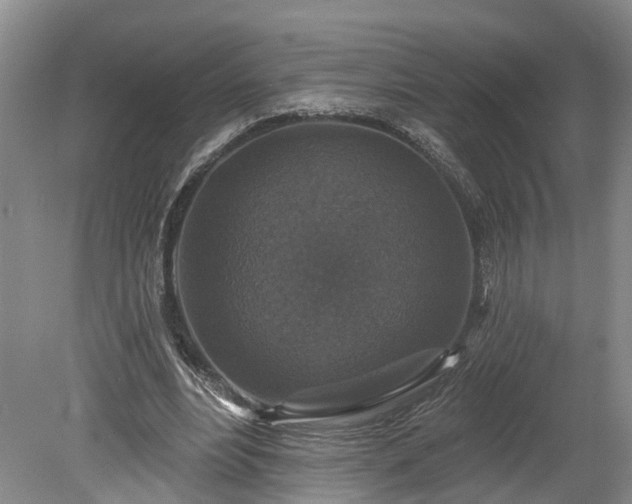 X0000078870488200611201343