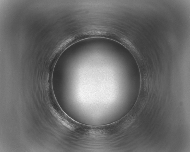 X0000078870490200611201343
