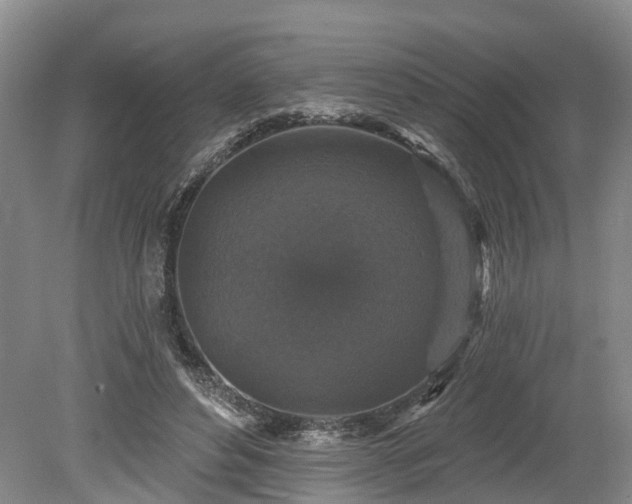 X0000078870496200611201343