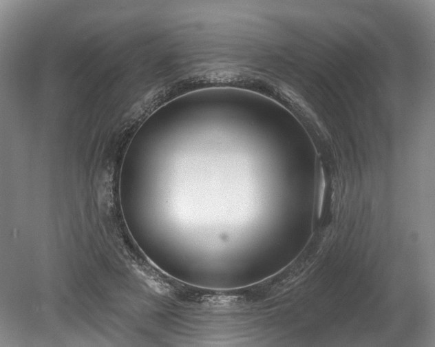 X0000078870497200611201343