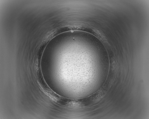 X0000078870498200611201343